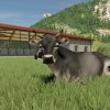 fs22_cow_1_de