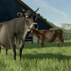 fs22_cow_3_de