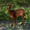 fs22_deer_de