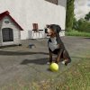 fs22_doggo_de