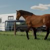 fs22_horses_3_de