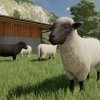 fs22_sheep_2_de