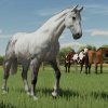 fs22horses_1_de