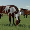 fs22horses_2_de