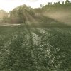 fs25_crops_peas-field_en